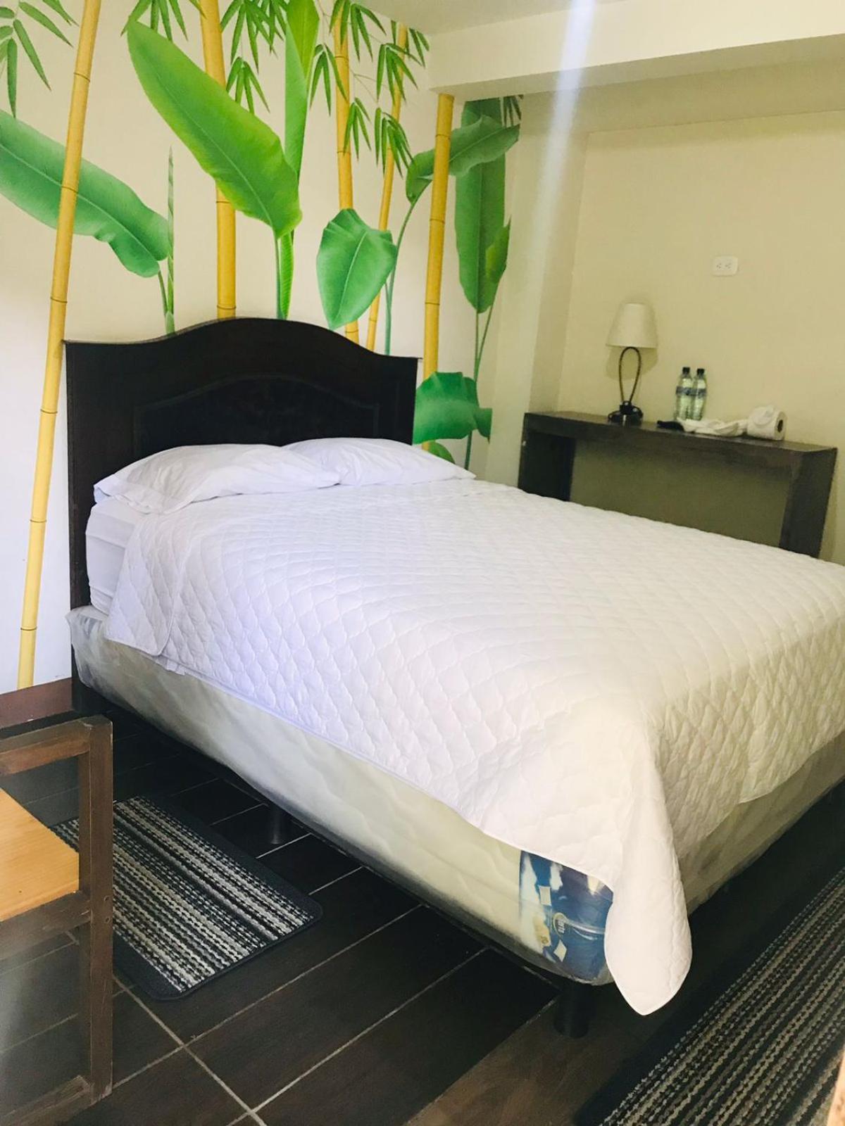 Hotel Ariana سان بيدرو لا لاغونا المظهر الخارجي الصورة